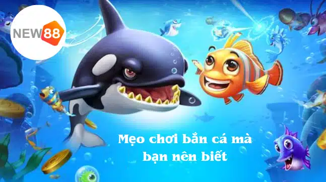 Một số mẹo chơi bắn cá New88 hay mà bạn nên biết