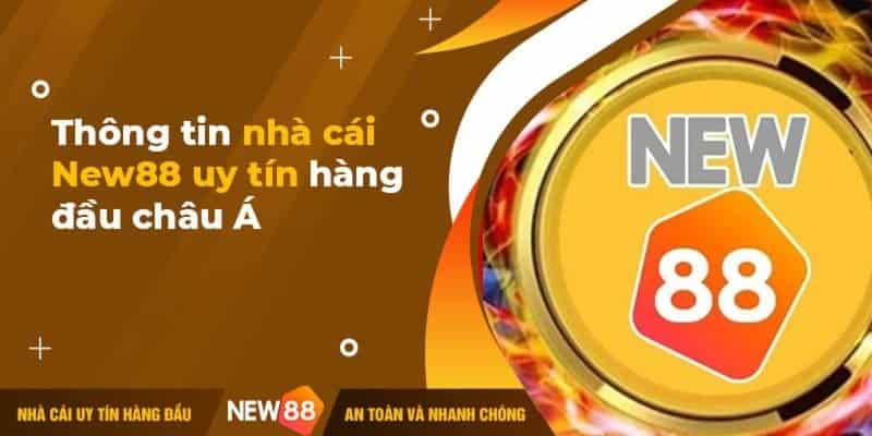 Điều kiện điều khoản chung của trang web cá cược New88