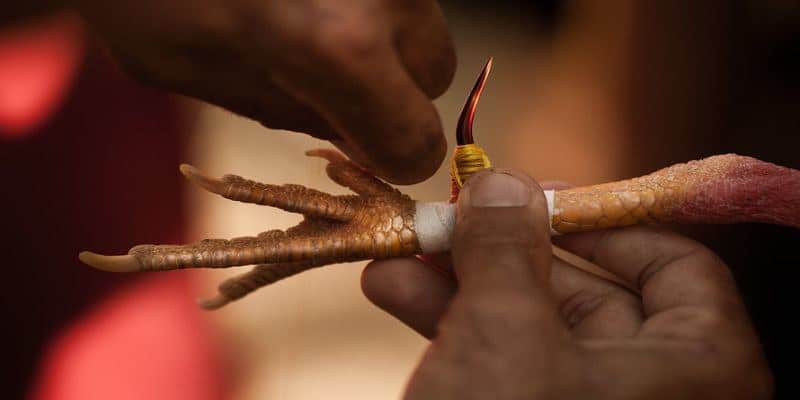 Giải thích vảy khai tiền là gì?