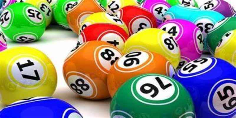 Một số lưu ý cần biết khi tham gia lô 3 càng tại New88