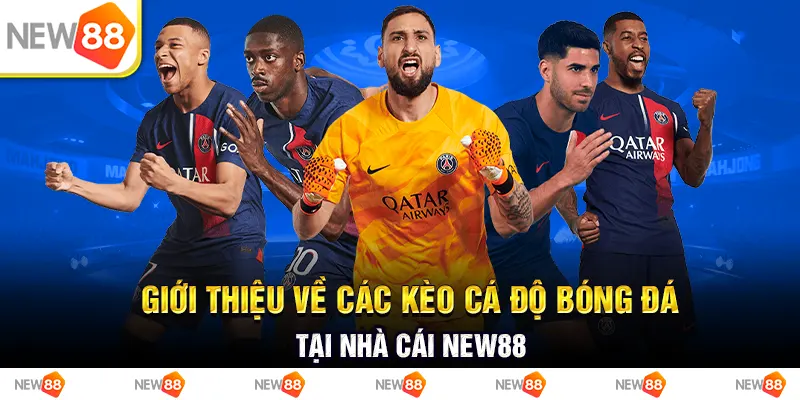 giới thiệu về các kèo cá độ bóng đá tại nhà cái new88