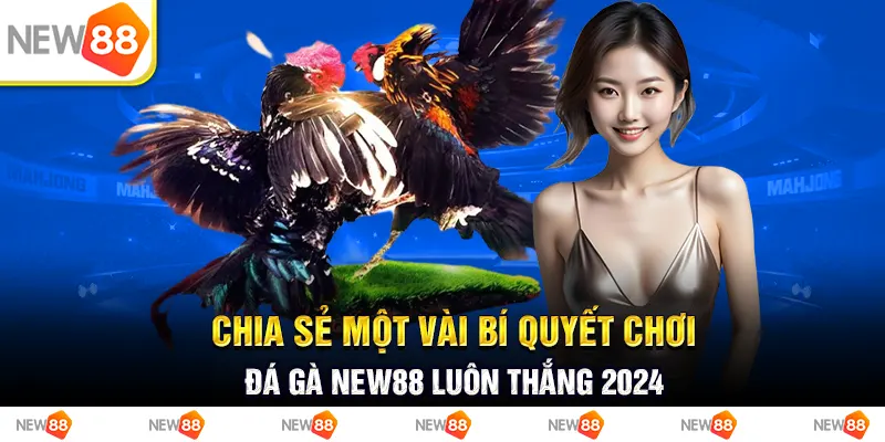 Chia sẻ một vài bí quyết chơi đá gà new88 luôn thắng 2024