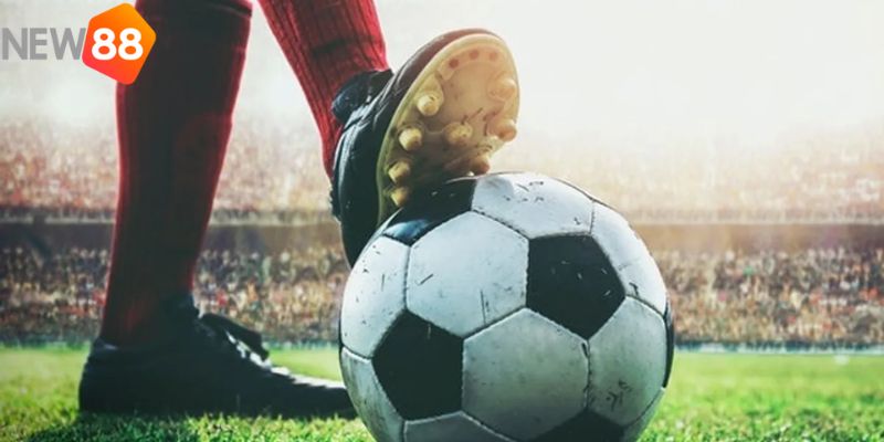 Tổng hợp các kèo cá độ bóng đá tại New88