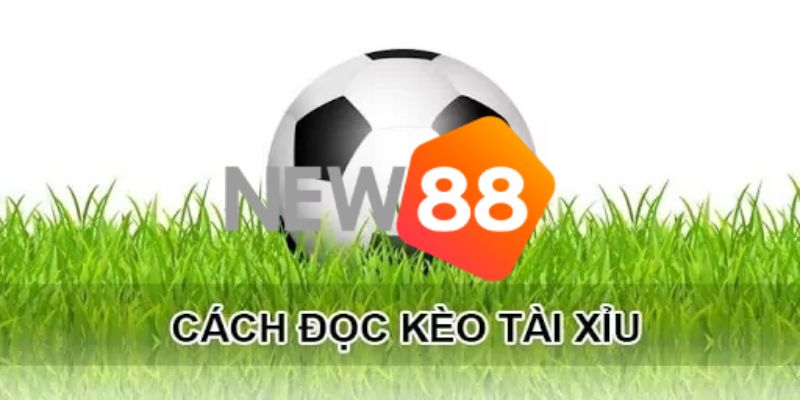 Cách cá độ bóng đá tài xỉu hiệu quả cao người dùng nên biết