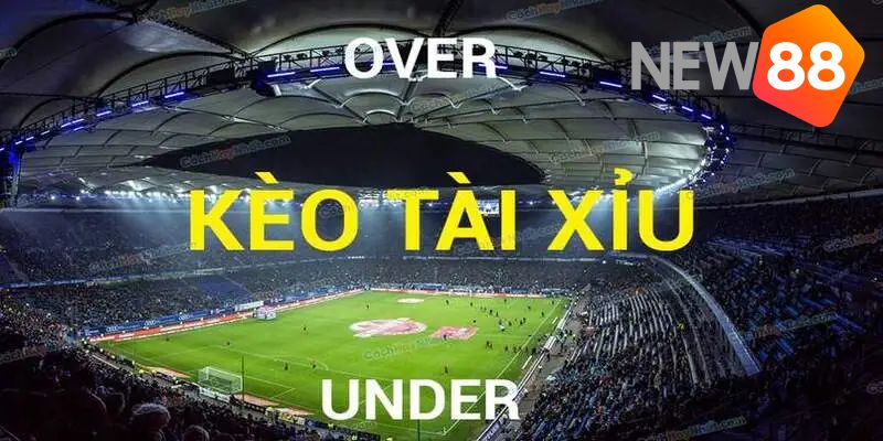 Khi chơi cá độ kèo tài xỉu có nhiều lợi ích và vận dụng cách cá độ bóng đá tài xỉu