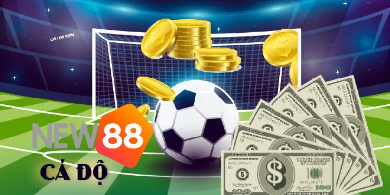 Tuân theo những kinh nghiệm mà cao thủ đã đặt ra