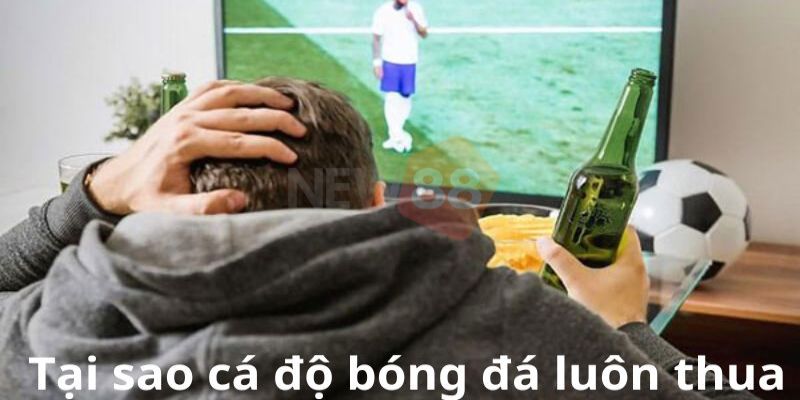 Cảm xúc khiến cho cá độ bóng đá dễ mắc sai lầm