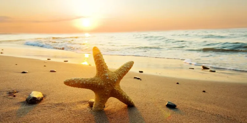 Giải mã giấc mơ thấy biển theo tâm linh và phong thủy