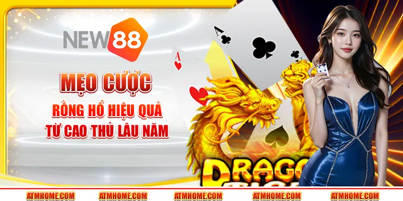 Mẹo cược rồng hổ hiệu quả từ cao thủ lâu năm