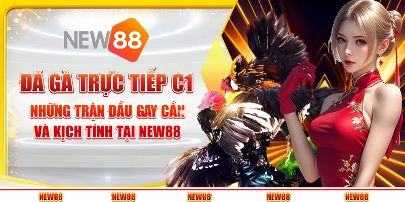 Đá gà trực tiếp C1: Những trận đấu gay cấn và kịch tính tại New88