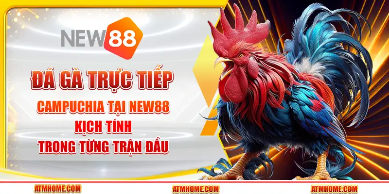 Đá gà trực tiếp campuchia tại New88 – Kịch tính trong từng trận đấu