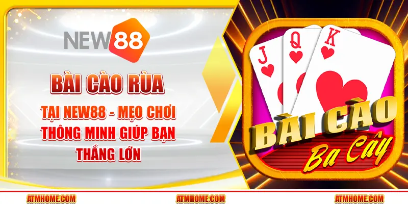 Bài Cào Rùa tại New88 - Mẹo chơi thông minh giúp bạn thắng lớn