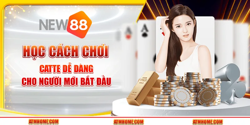 Học cách chơi catte dễ thắng cho người mới bắt đầu