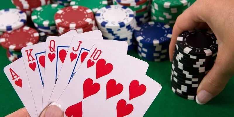 Top 5 cách chơi catte dễ thắng cho tân binh