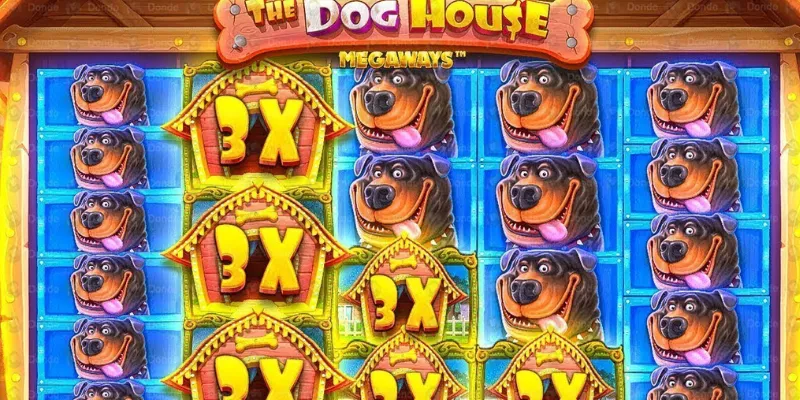 Cách chơi The Dog House dễ hiểu và đầy đủ dành cho người mới