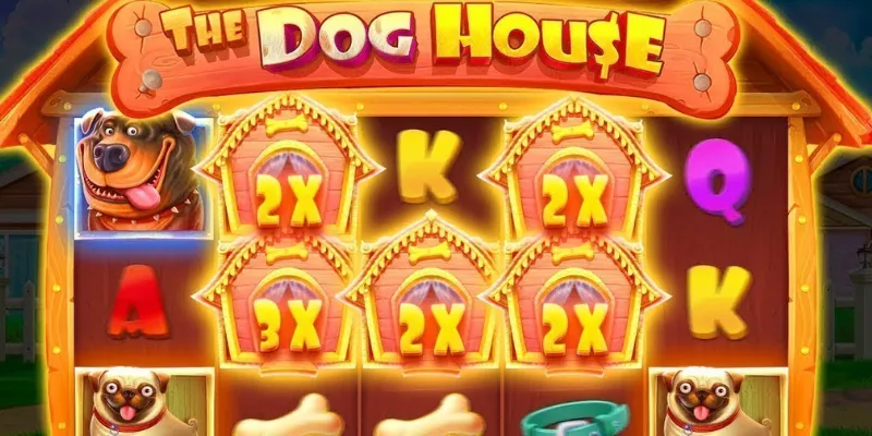 Mẹo chơi The Dog House để tăng cơ hội thắng lớn