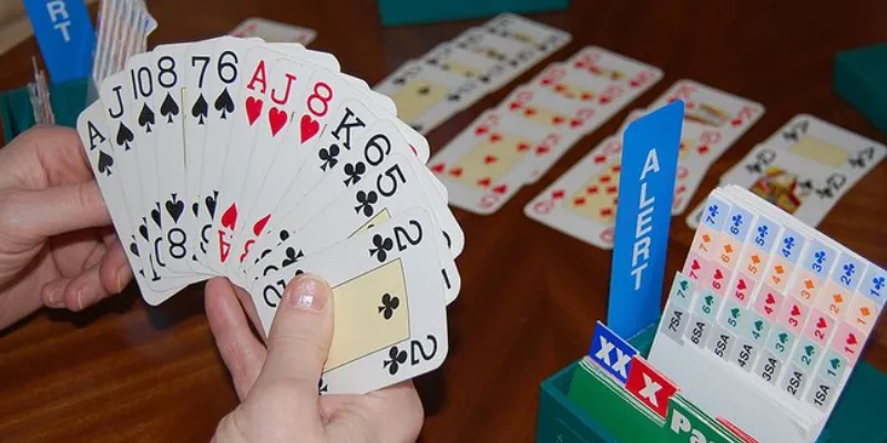 Một số thuật ngữ quan trọng trong bài Bridge