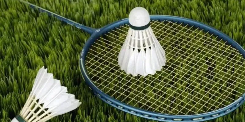 Tìm hiểu về cá cược cầu lông