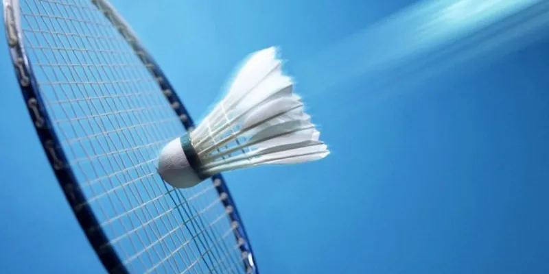 Chiến lược cá cược cầu lông hiệu quả cho newbie