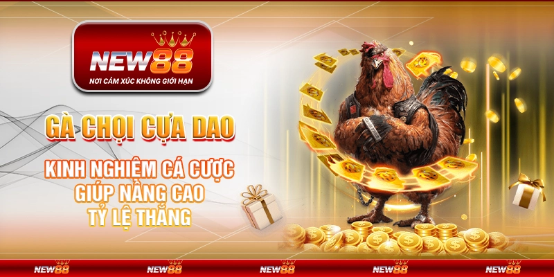 Gà chọi cựa dao tại New88 – Kinh nghiệm cá cược giúp nâng cao tỷ lệ thắng
