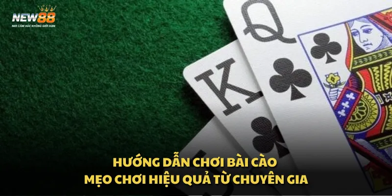 Hướng dẫn chơi bài Cào - Mẹo chơi hiệu quả từ chuyên gia