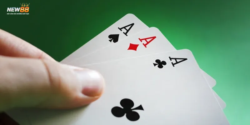 Tổng quan về bài Cào