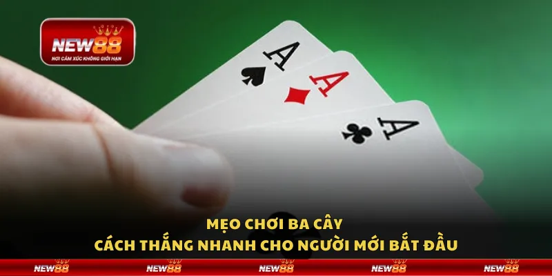 Mẹo chơi ba cây - Cách thắng nhanh cho người mới bắt đầu