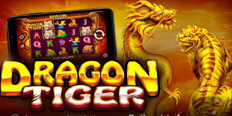 Các hình thức cược thường gặp trong Rồng Hổ